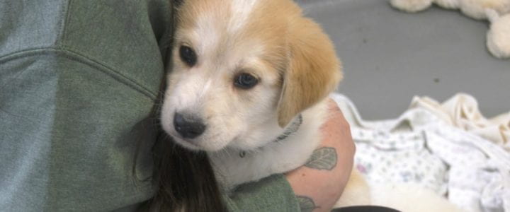 Plato’s Allegory of the Cave and Personal Connection’s